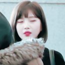 꽃길만 걷개 이미지