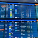 719 | 괌 왕복 비행기 진에어 보잉737 LJ719 탑승 후기, 괌 입국심사