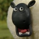 바다를본돼지(서귀포올레시장점) 이미지