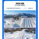 비발디파크스노위랜드 티스토리