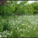 덕산리경로당 이미지