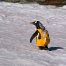 gc-camera-053 이미지