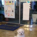 온양동물병원 이미지