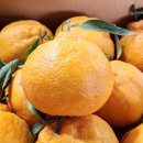 태영금동 이미지