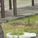 한담하우스 이미지