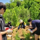 천안동성중학교 이미지