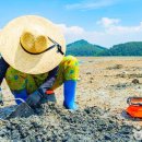 비토어촌체험휴양마을 이미지