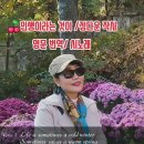 인생이라는 것이 정다운 작사/영문번역 시 노래 이미지