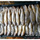 12월22일. 참조기, 잡어, 무안뻘낙지, 활대구, 중국산생물홍어, 선어오징어 이미지