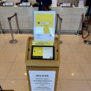 마리나 | 여수 애견동반 숙소 유탑마리나호텔 후기 | 반려견 객실 이용 솔직리뷰