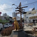 묵호시장 | 묵호 중앙시장 파닭김밥 방문 후기