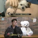 또또오래