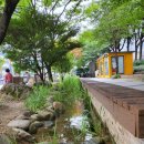 푸른길 작은도서관 이미지