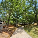 마재근린공원 이미지