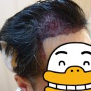 모힐의원 이미지