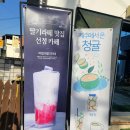 사벌농업협동조합 | [카페] 상주 덕담 - 고즈넉한 감성 사벌국면 정원 카페