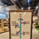 다산 당구장 | [경기 남양주] 다산찜질방 스파디움24ㅣ초등 아이와 방문 내돈내산 후기