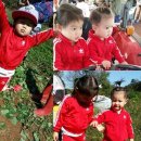 태오농장 이미지