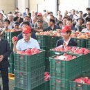 청과물처리장 이미지