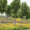 낙동강변로6-6 이미지