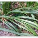 수림유치원 이미지