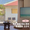 애월 고즈넉 | 제주도 서쪽 신상 숙소! 제주 애월 감성숙소 고즈넉