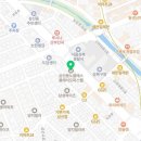 인셀덤 노블레스