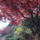 보발재ㆍ구인사ㆍ도담삼봉 이미지