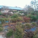 사곡리농장 이미지