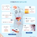 먹방 유튜버 줄줄이 사망… 몸 ‘이렇게’ 병들어 갔을 것 이미지