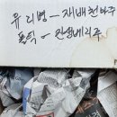 신안비금도 섬초님 감사합니다 이미지