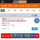 홍단피싱