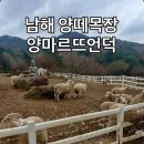 J.J목장 | [남해 당일치기 여행] 경남 남해 아이랑 가볼만한곳 '남해양떼목장 양마르뜨언덕'