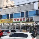 사파동365 이미지