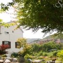 꿈꾸는 숲 이미지