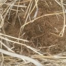 풍각초등학교 이미지