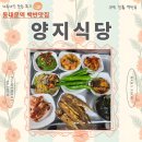 양지로63번길29-4 | 동대문 맛집_내돈내산♪점심 백반 단돈 8천원! 31년 전통 양지식당 맛집후기(feat.금요일은 제육먹는 날!)