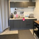 스테이독 이미지