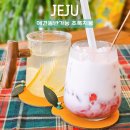 제주애견카페 초록동산 | 제주카페추천 오설록 근처 한경면 애견동반 가능 초록지붕