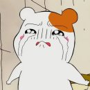 신해짱 Daum카페