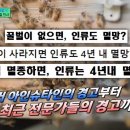 꿀벌 동물병원 티스토리