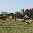 연암목장 이미지