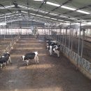 혜전목장 이미지