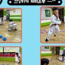 명문태권도 이미지