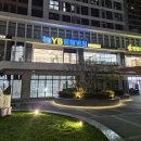 일곡동물병원 | 광주 첨단2지구 YB동물병원 포메라니안 방문 후기 ㅣ 광주 강아지 고양이 동물병원