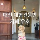 씨유서대전IC점 | 대전 대형견 동반 애견 동반 카페 카페 우호 방문 후기