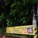 더건강한한우프라자 | 대구 게릴라현수막 / 대구 현수막 / 대구 현수막 광고 / 더 건강한 한우프라자