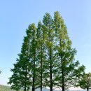 두물머리화장실(나루터) 이미지