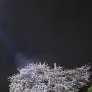 분성체육공원? 이미지