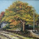 가호동23 이미지